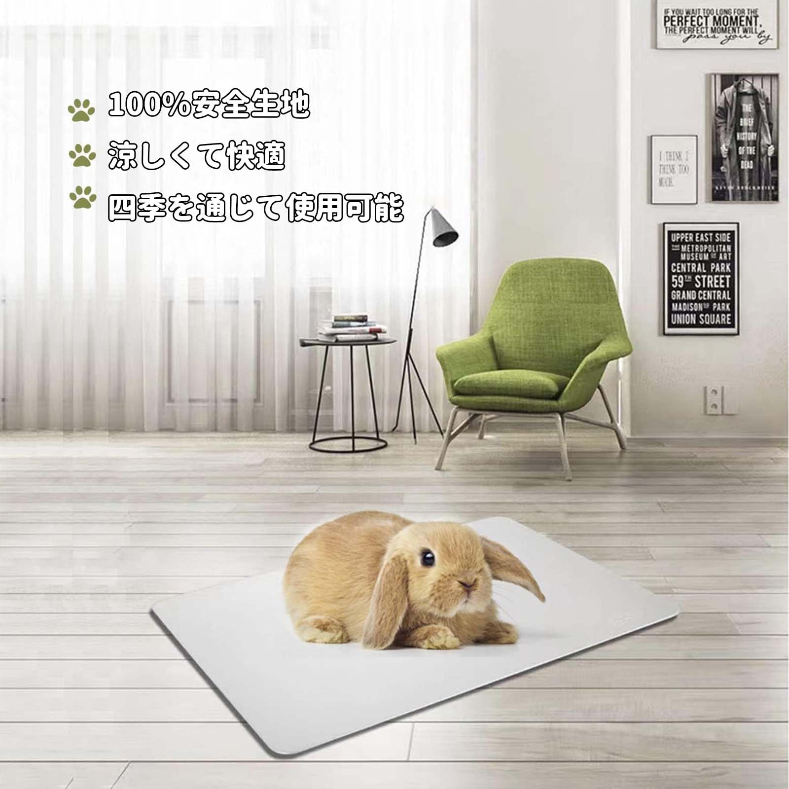 Amazon | ハムスター クールマット 【3枚入り】 冷却マット 12×8cm